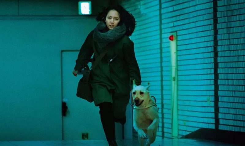 映画「見えない目撃者」日本版フル動画