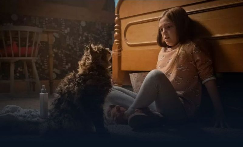 映画「ペット・セメタリー」2019年版吹き替えフル動画