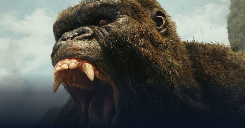 映画「キングコング：髑髏島の巨神」吹き替えフル動画