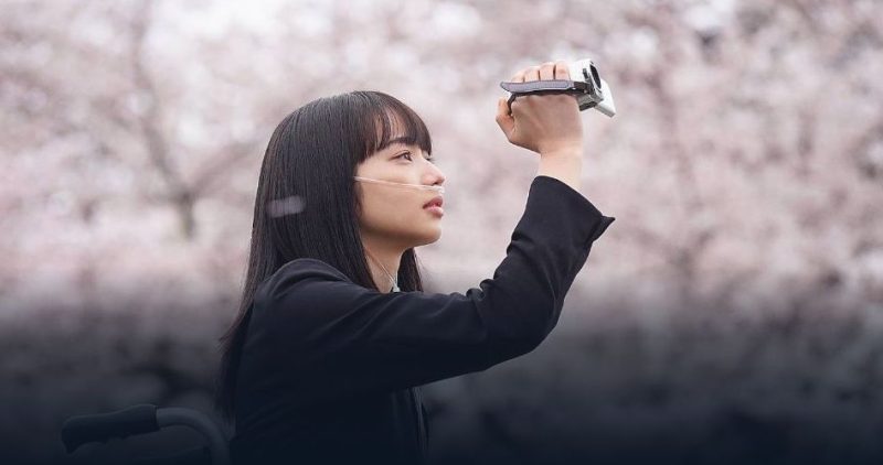 映画「余命１０年」フル動画