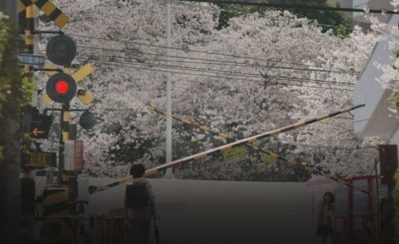 実写映画「秒速５センチメートル」フル動画